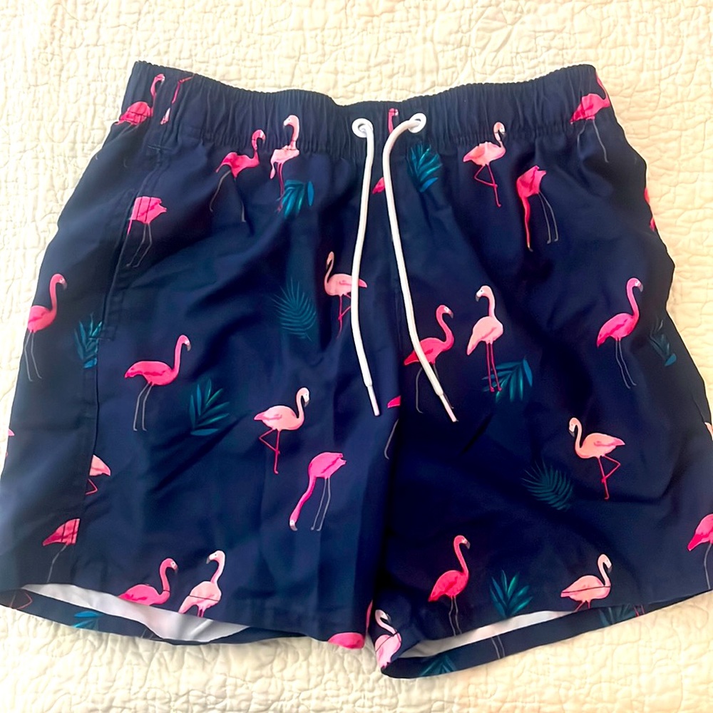 Hollister California xs swim shorts
